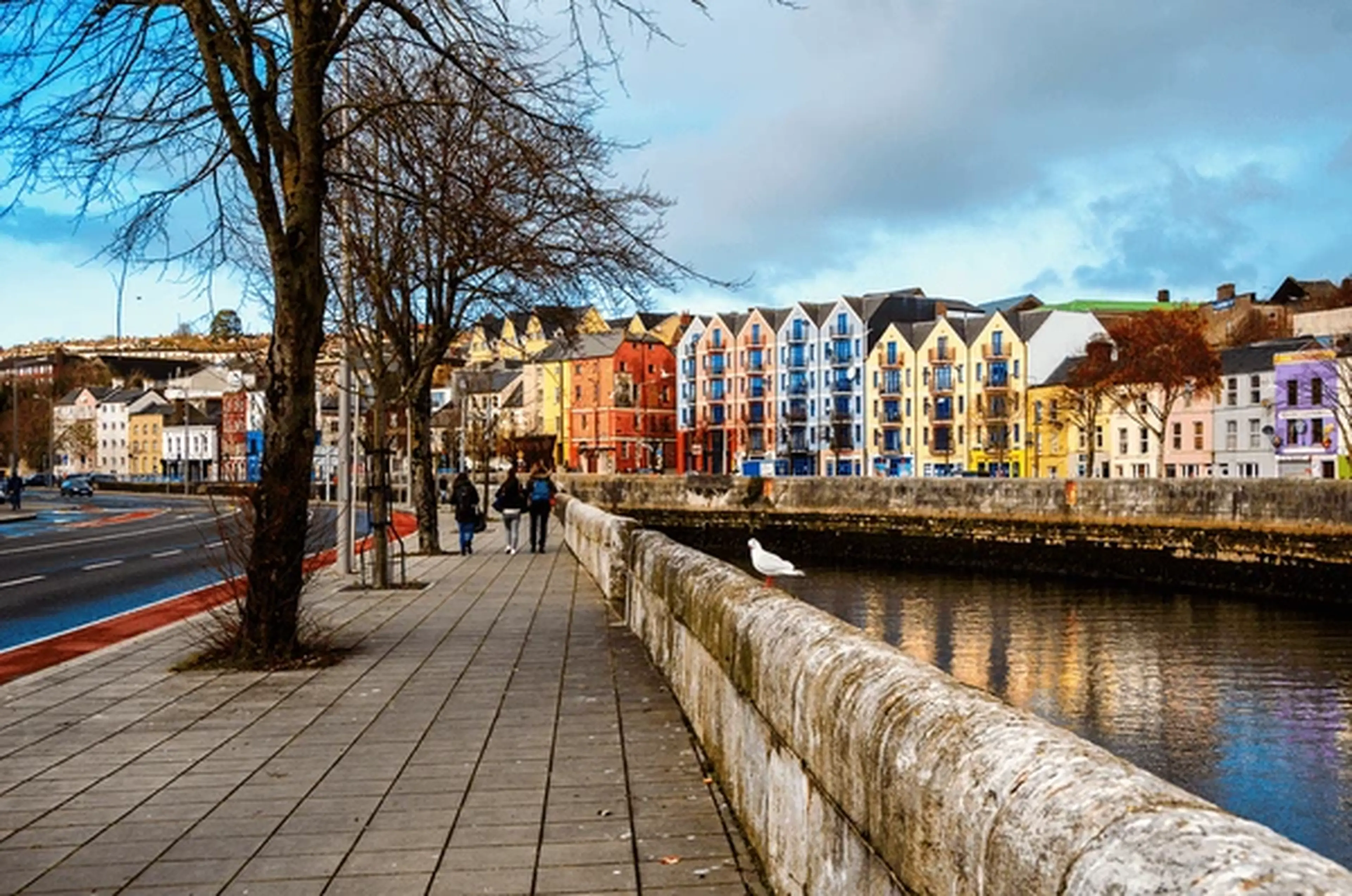 Cork Imagen
